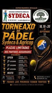 No te pierdas el Torneaxo y apuntate ya!